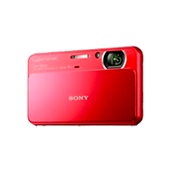 Sony CyberShot DSC-T110 Point and Shoot - Price in India